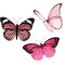 Pink Butterfly s aesthetic.png