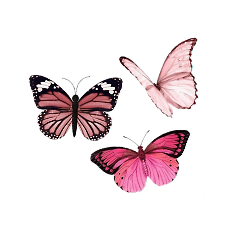 Pink Butterfly s aesthetic.png