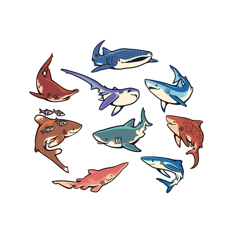 Sharks in the light blue.png
