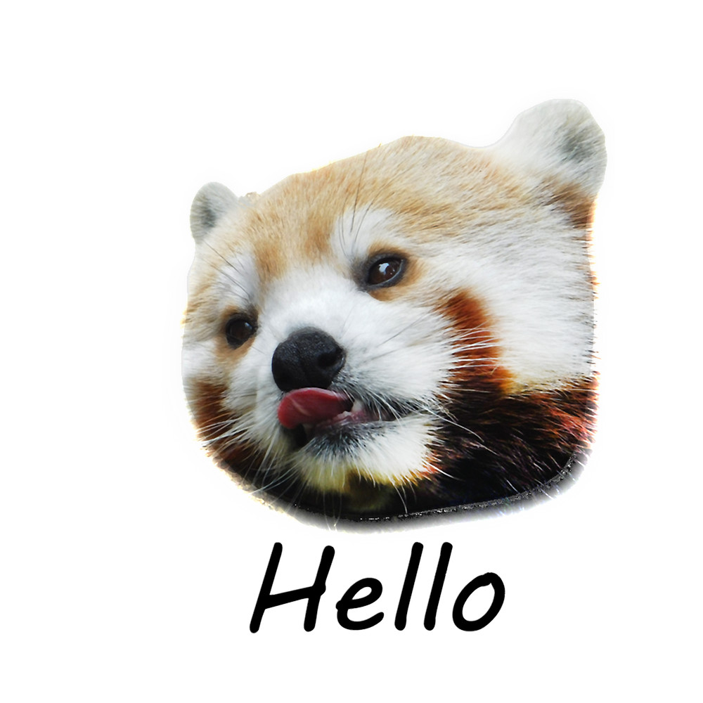 Tongue Out Red Panda.png