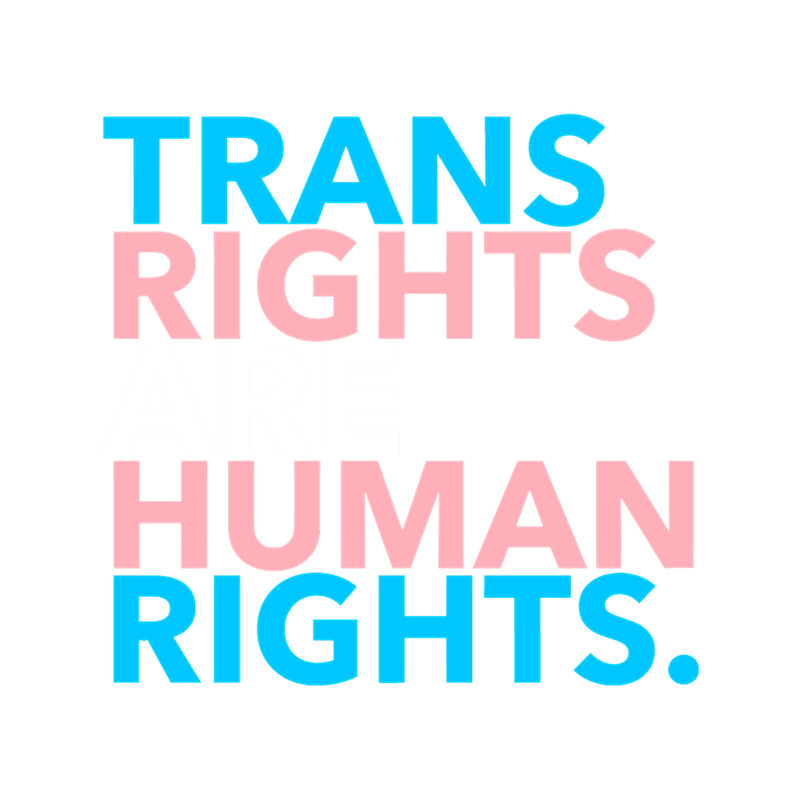 Trans Rights are Human Rights 2.1.png