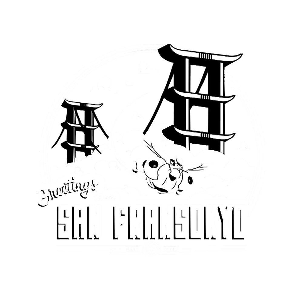 Greetings from San Fransokyo .png