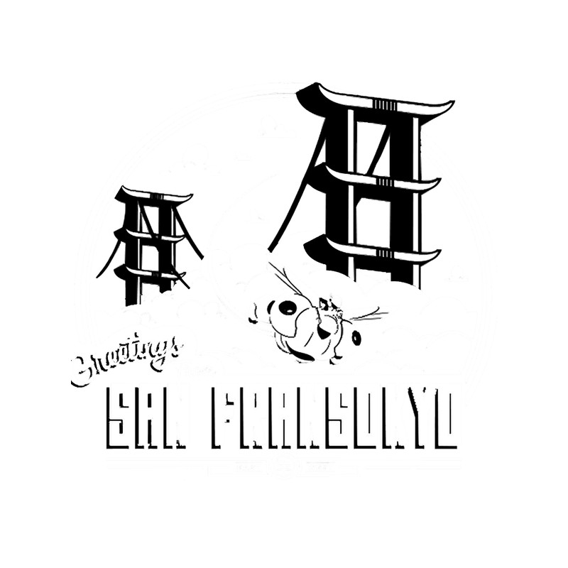 Greetings from San Fransokyo .png