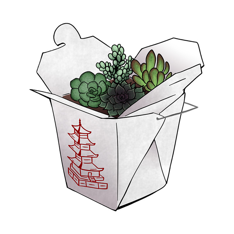 Succulents in Takeaway.png
