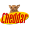 Cheddar Show.png