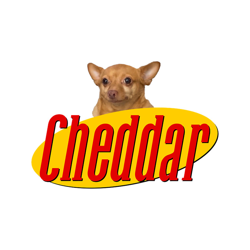 Cheddar Show.png