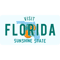 florida vintage license plate .png
