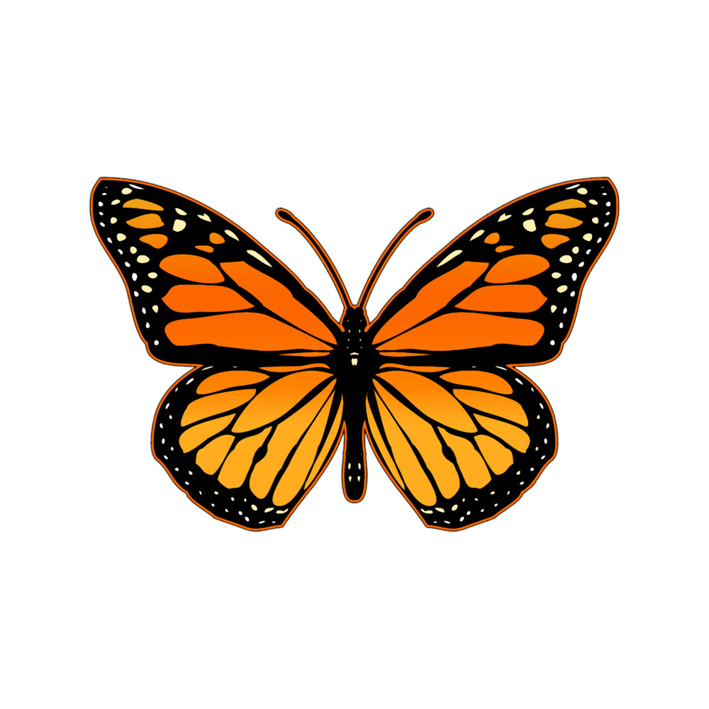 Monarch Butterfly.png