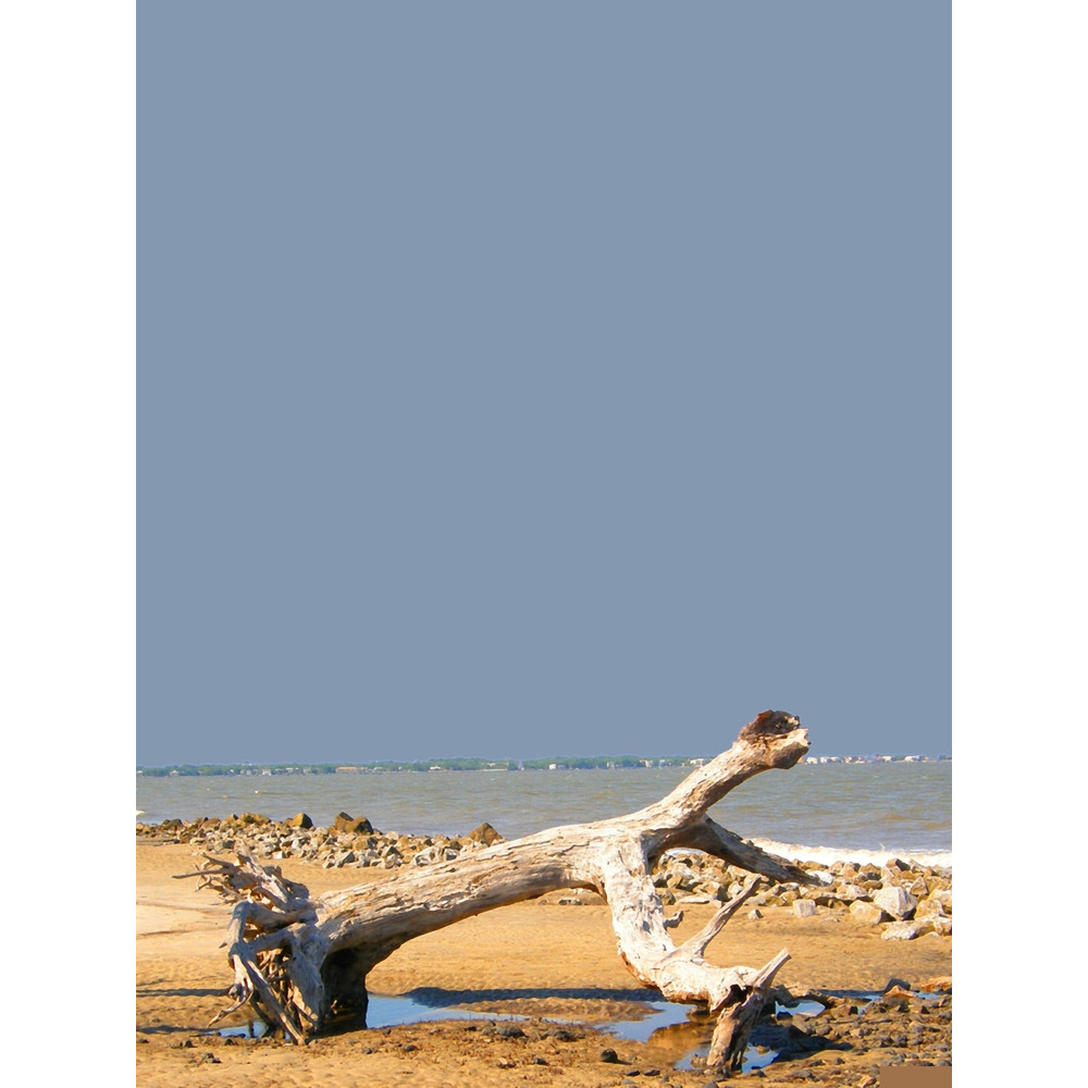 Live Oak Graveyard - Jekyll Island Graphic(1).png