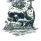 SKULL ISLAND (1).png