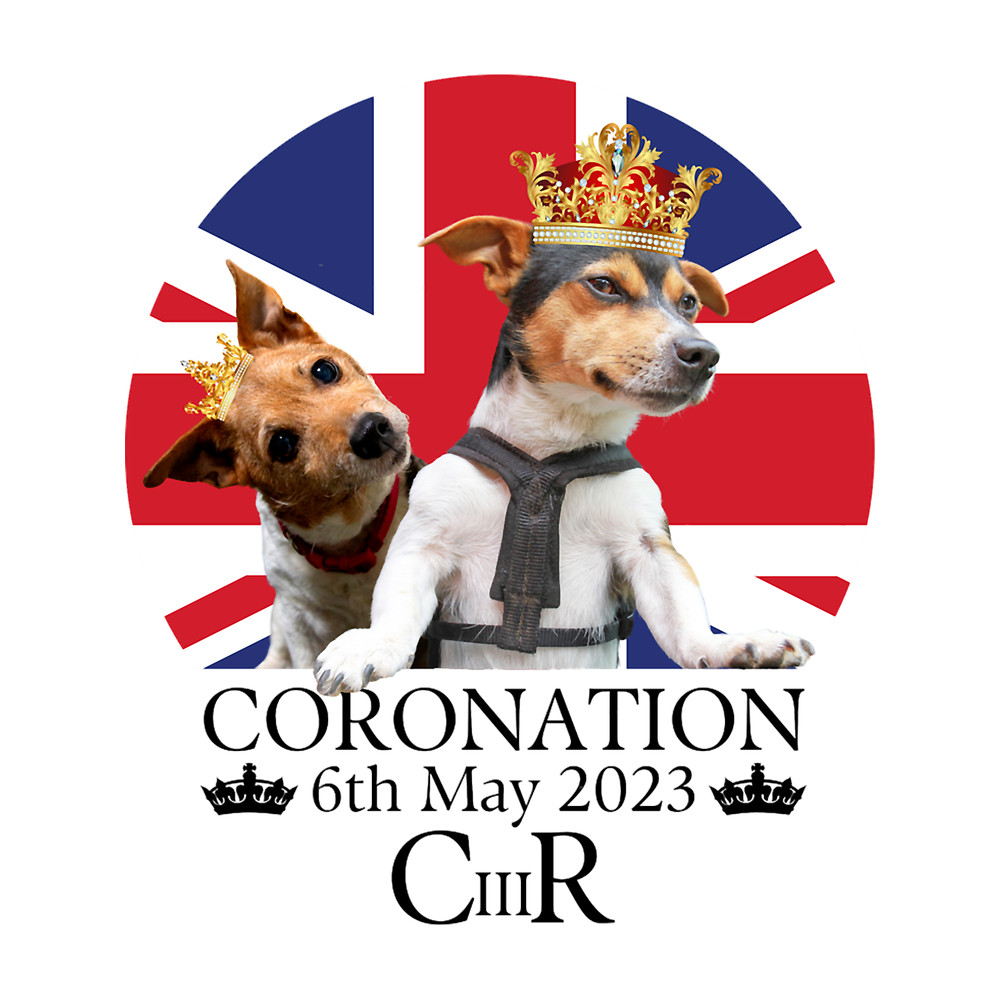 King Charles Coronation Jack Russells.png