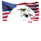 Bald Is Beautiful - Patriotic American Eagle.png