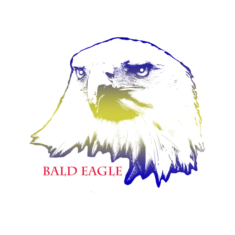 the bald head of the american eagle is gradient typeBlue, Yellow, Blue.png