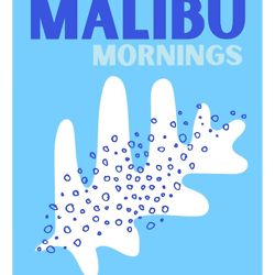 malibu mornings preppy