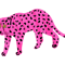 neon pink star eyed leopard.png