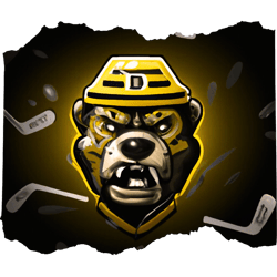 boston bruins bear