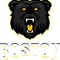 Boston Bruins Hockey(2).png