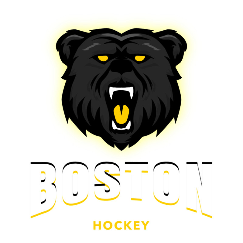 Boston Bruins Hockey(2).png