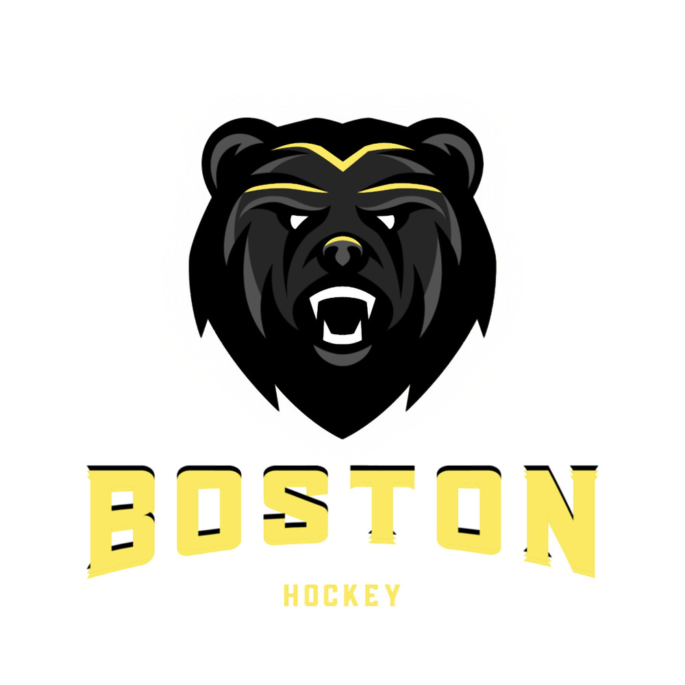 Boston Bruins Hockey.png