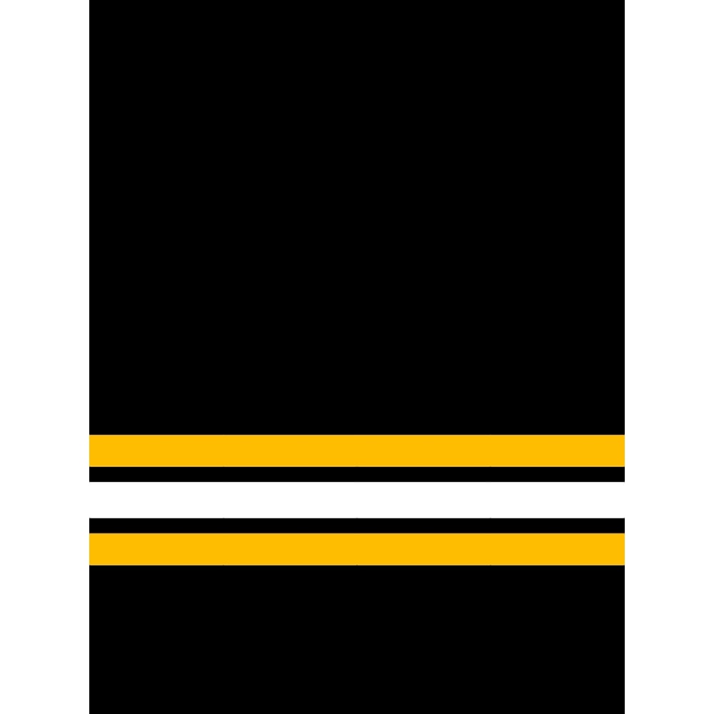 Boston Third Leggings Graphic .png