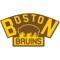 Bruins-boston.png