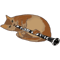 Cat playing clarinet .png