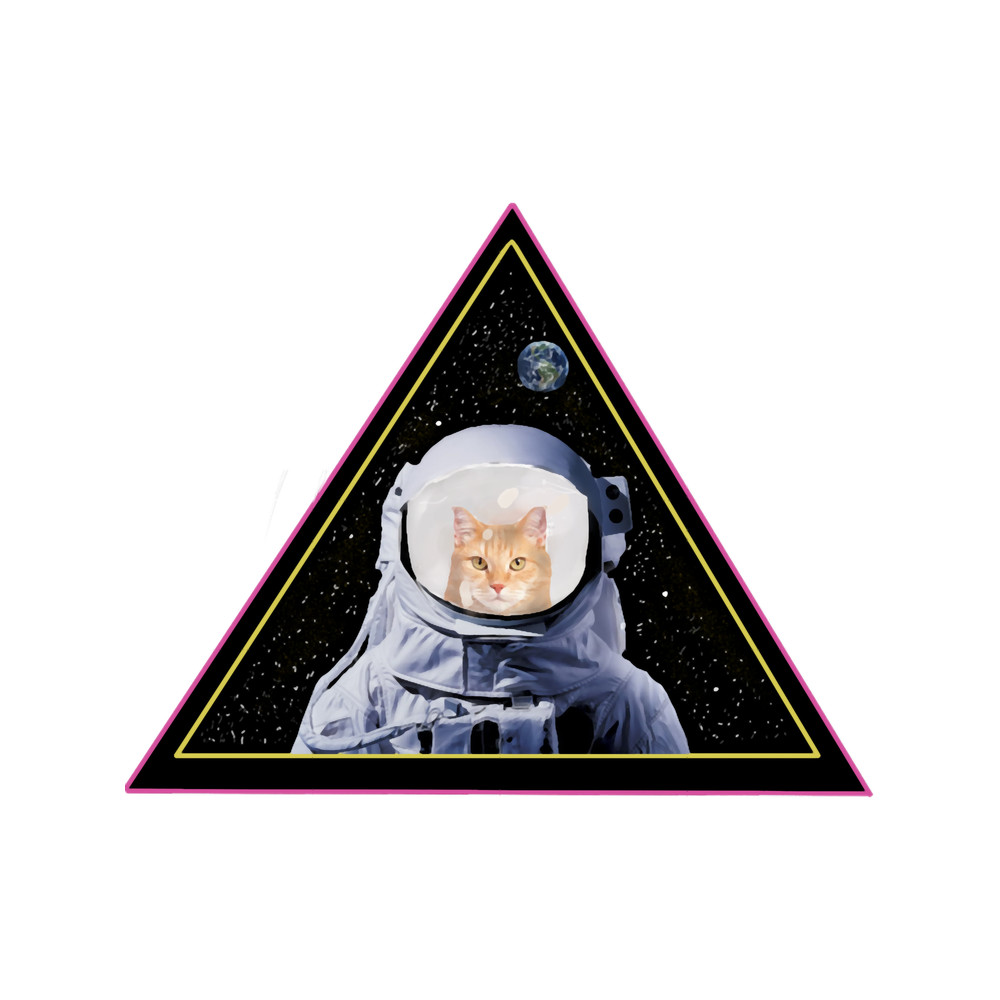 Catstronaut - astronaut cat.png