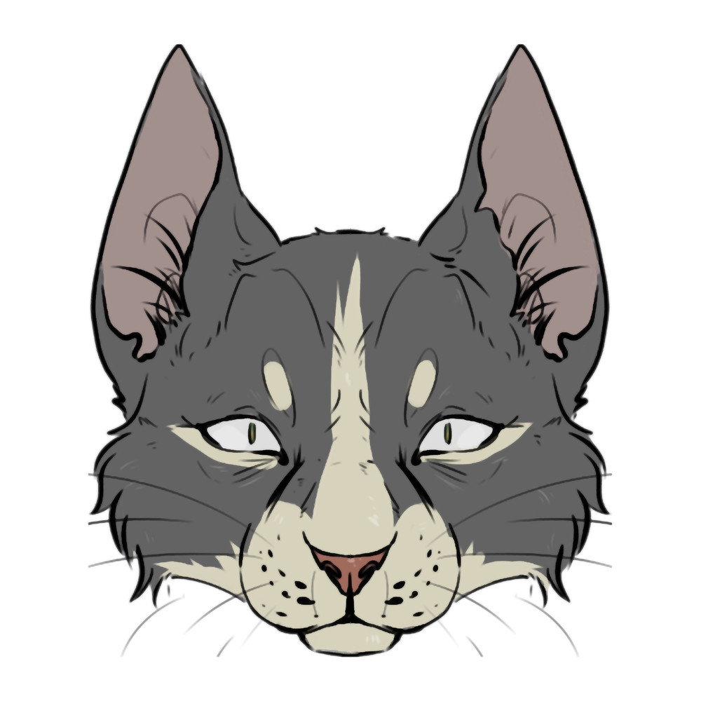gray cat...purr purr purr... .png