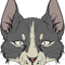 gray cat...purr purr purr... .png