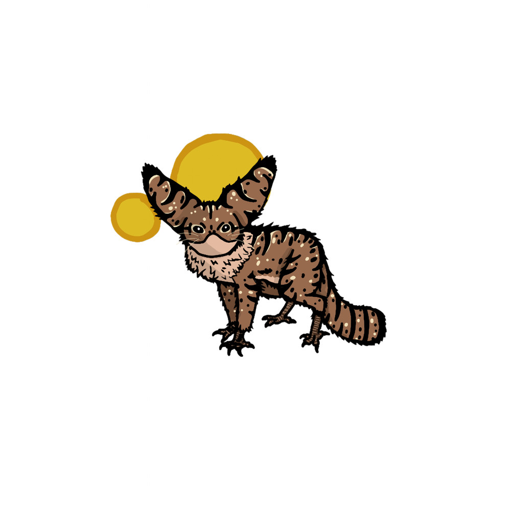 Loth Cat Sunrise .png