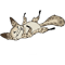 loth kitty laying .png