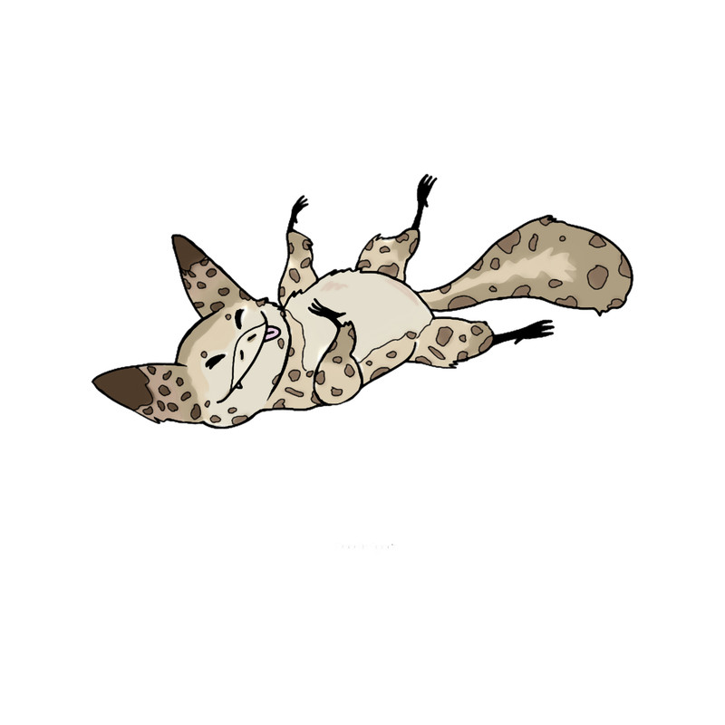 loth kitty laying .png