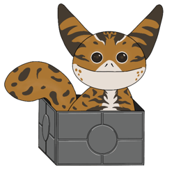 lothcat if i fits i sits