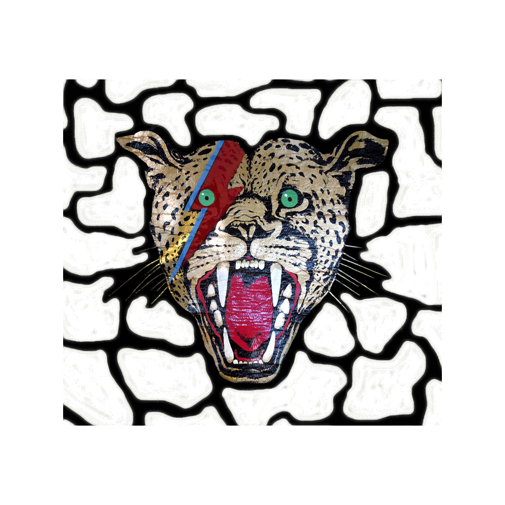 Street Walking Cheetah on white, large head.png