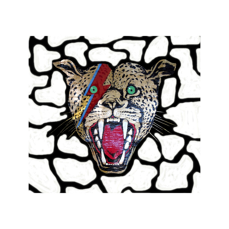 Street Walking Cheetah on white, large head.png