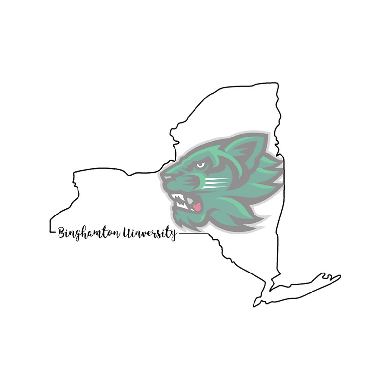 binghamton bearcat new york .png