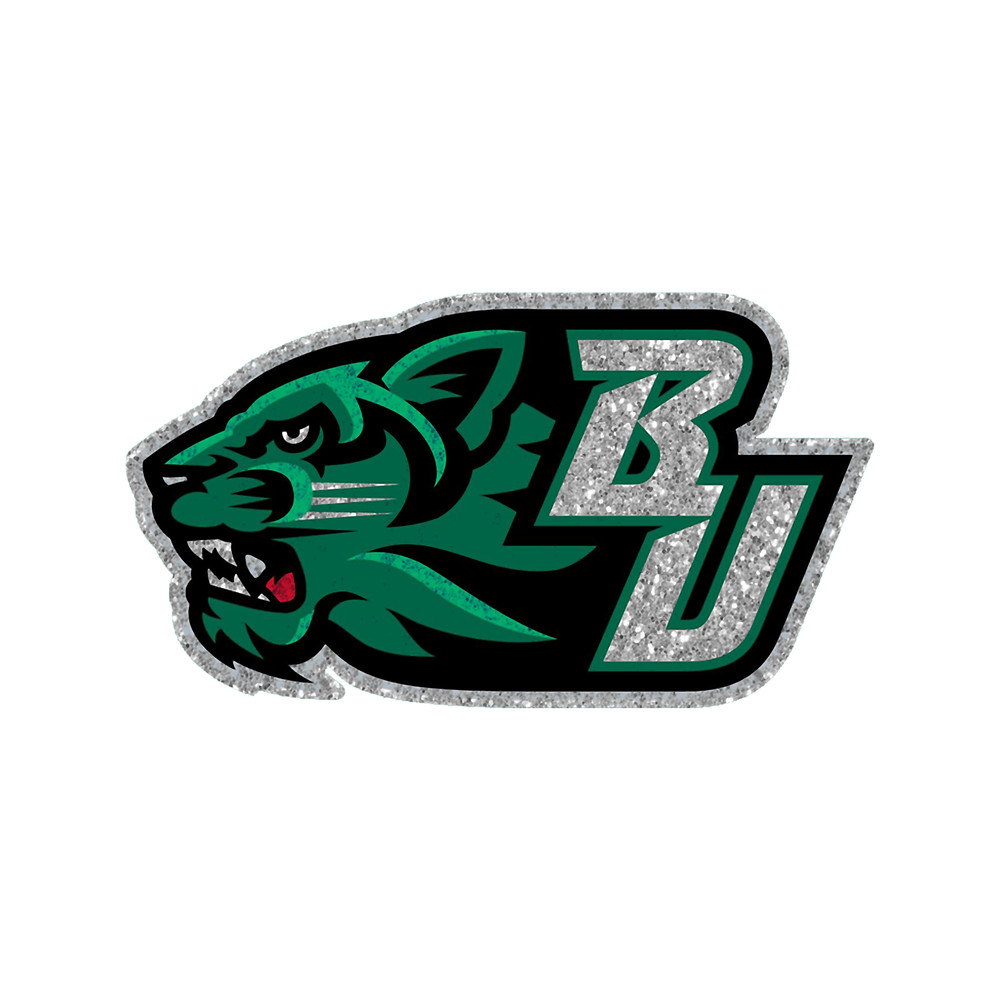 binghamton logo .png
