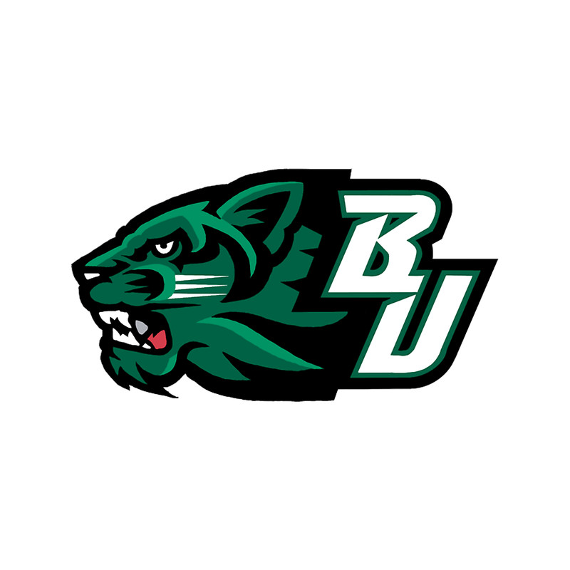 Binghamton University (4).png