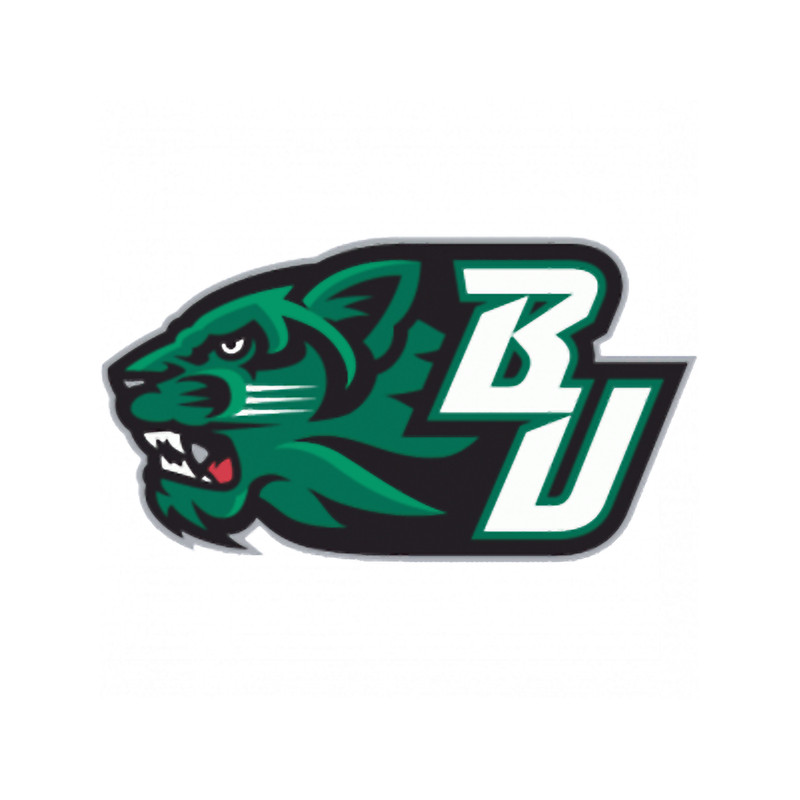 Binghamton University (12).png