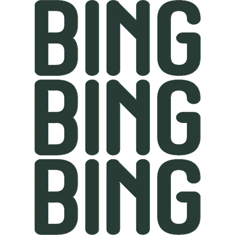 binghamton university(5).png