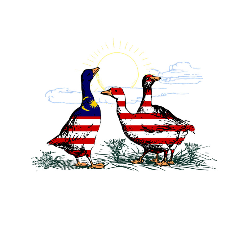 Malaysia Geese.png