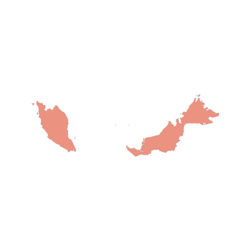 Malaysia Love in Peach Active .png