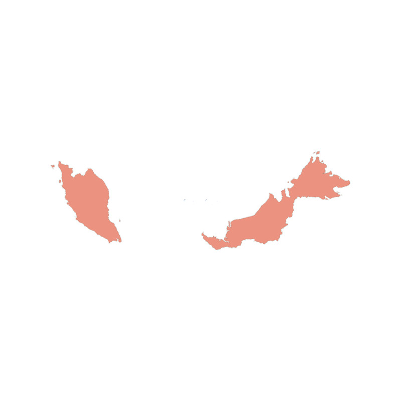 Malaysia Love in Peach Active .png