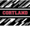 Cortland Pattern Swag .png