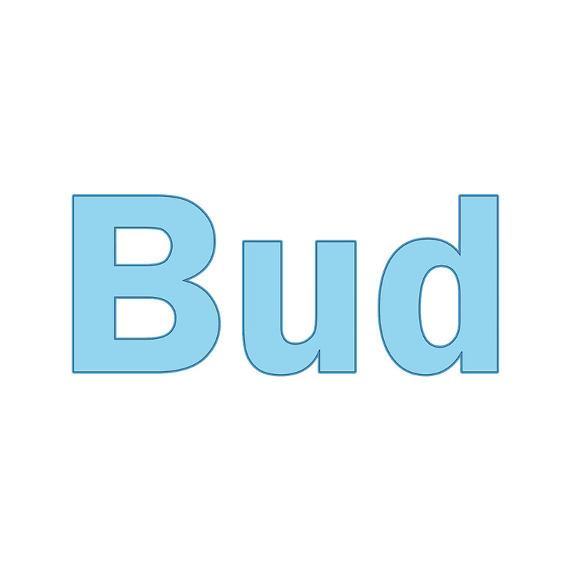 Bud blue name personalised lettering text .png