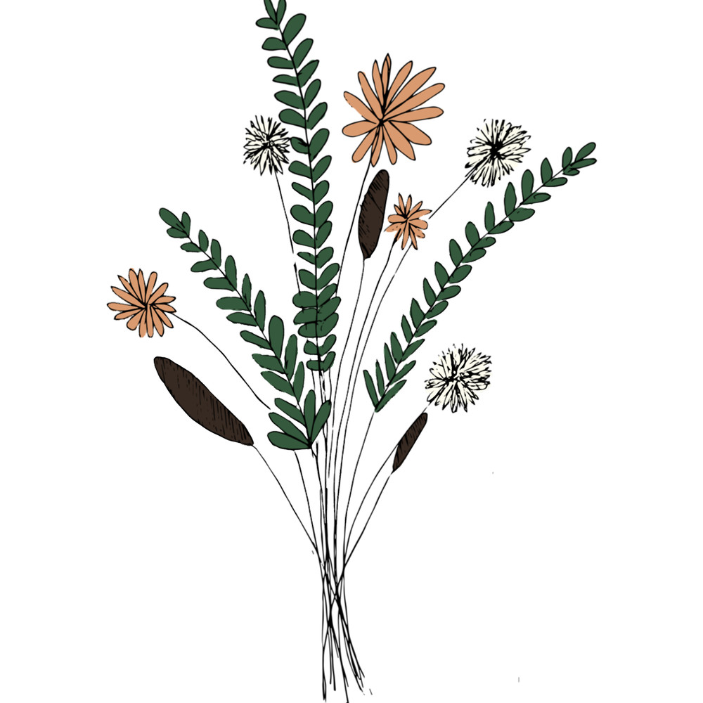 Flower Illustration.png