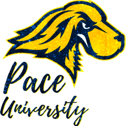 Glitter Pace University (1)