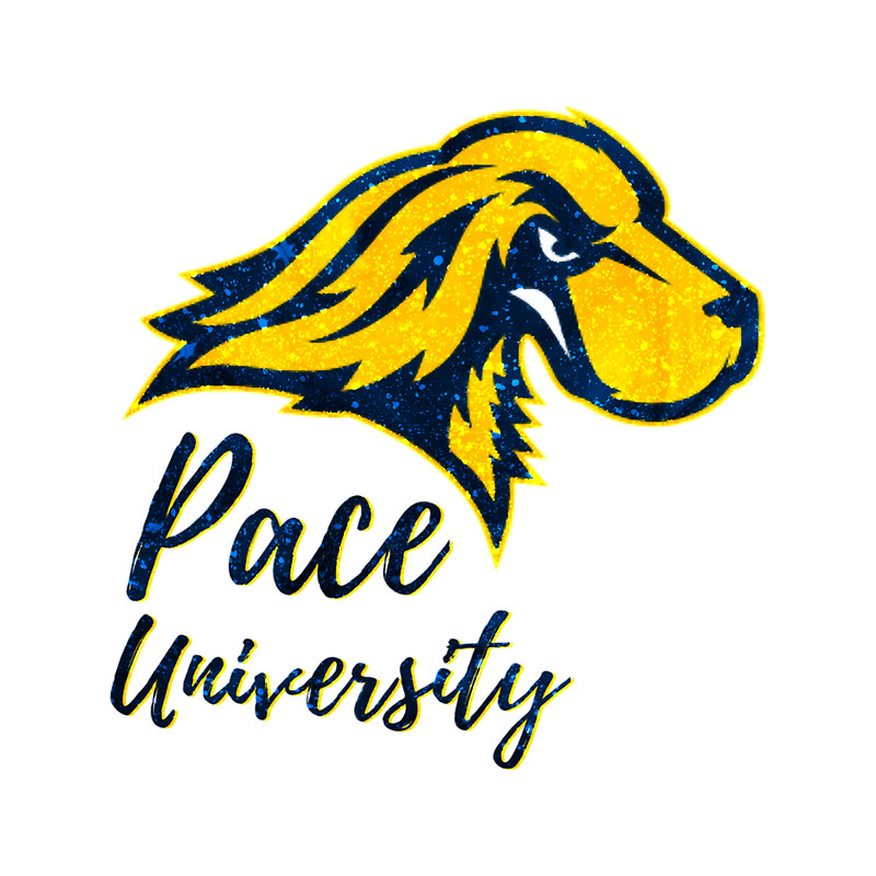 Glitter Pace University (1).png