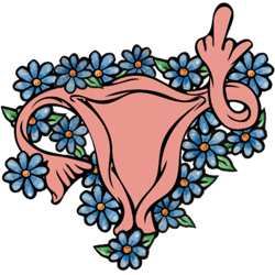 middle finger uterus prochoice feminist