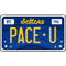 pace - license plate.png